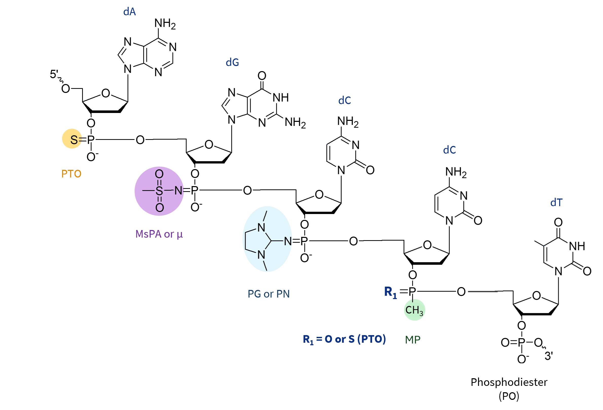 Common oligo backbone modifications with their chemical structures.