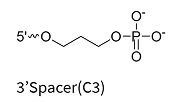 3'Spacer (C3) end modification