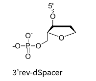 3'rev-dSpacer end modification