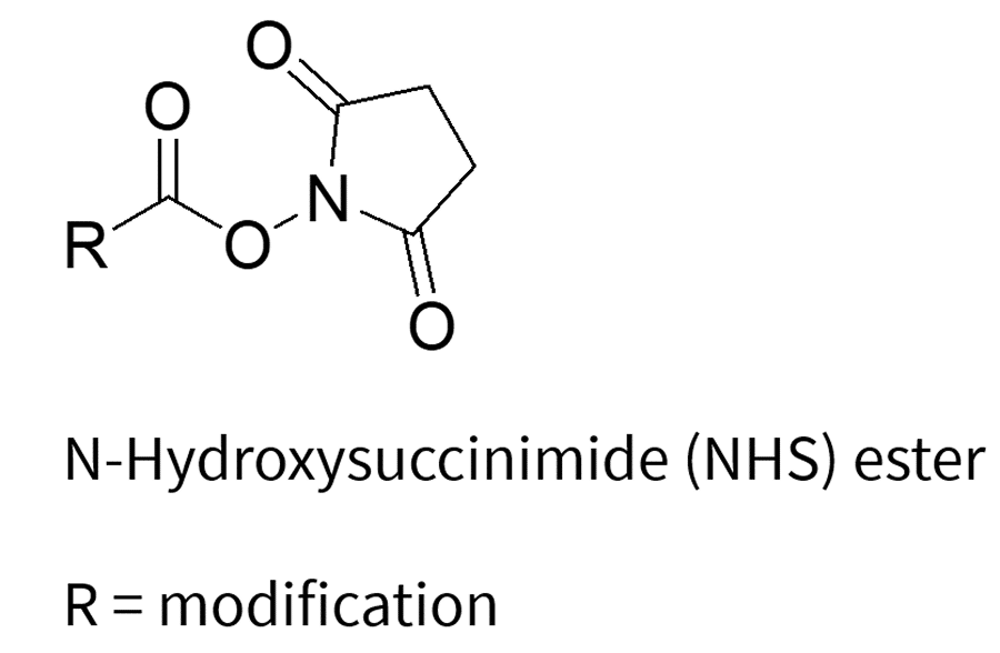 Chemical struture of N-Hydroxysuccinimide (NHS) ester, R=modification